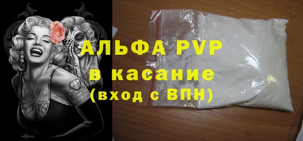 spice Богданович