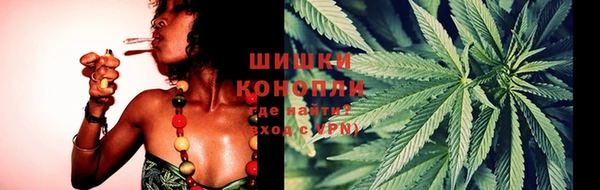 spice Богданович
