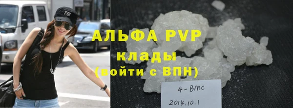 spice Богданович